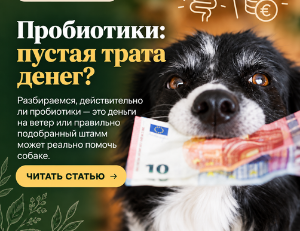 Натуральные пробиотики для собак: как выбрать?