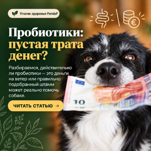 Натуральные пробиотики для собак: как выбрать?