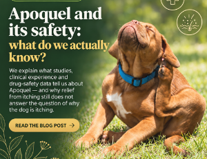 What do studies, official product information, integrative veterinarians' observations and pharmacovigilance data show about Apoquel?
