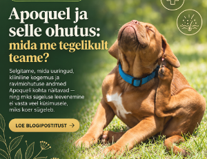 Apoquel ja selle ohutus: mida me tegelikult teame?