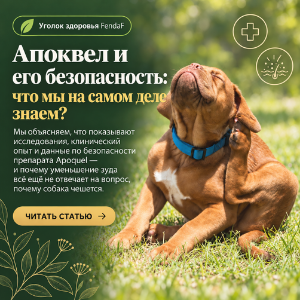 Apoquel и его безопасность: что мы на самом деле знаем?