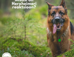 Herxheimeri reaktsioon