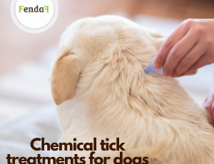 Chemical tick treatment for dogs - risks and side effects