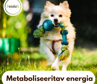 metaboliseeritav energia
