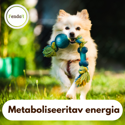 metaboliseeritav energia