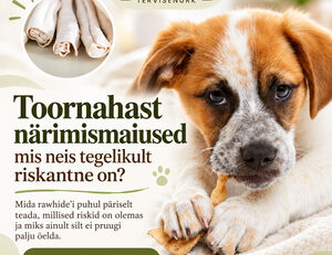 Toornahast närimismaiused ja nende riskid, FendaF