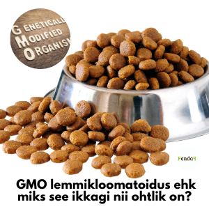 GMO lemmikloomatoidus