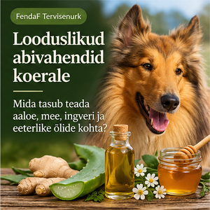 FendaF 96 ET blogiartikli tunnuspilt