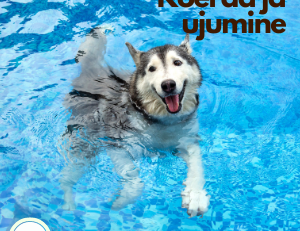 koerad ja ujumine