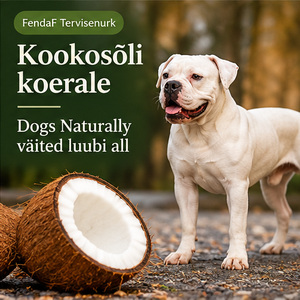 FendaF 99 ET blogiartikli tunnuspilt