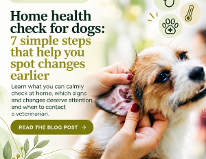 At-home health check for dogs