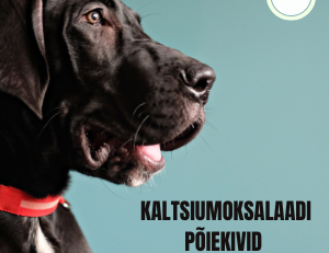 kaltsiumoksalaadi põiekivid