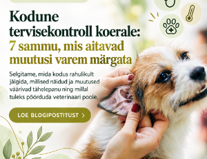 kodune tervisekontroll koerale