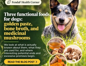 Three functional foods for dogs: golden paste, bone broth and medicinal mushrooms