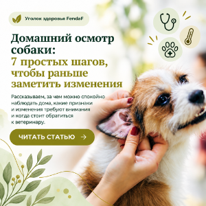 Домашний осмотр собаки