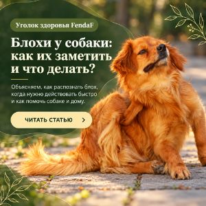 У собаки блохи? Как от них избавиться
