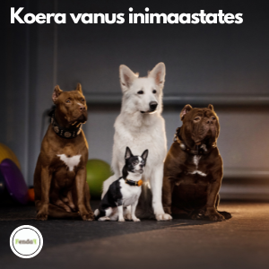 koera vanus