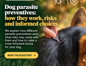 Parasite control for dogs: products, risks and informed choices