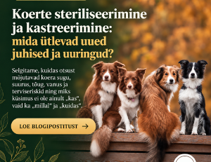Koerte steriliseerimine ja kastreerimine: uued juhised