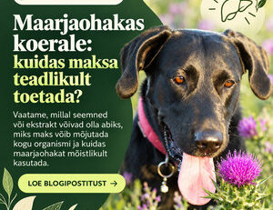 Koer ja lillakas maarjaohakas, maksa toetamise artikli bänner