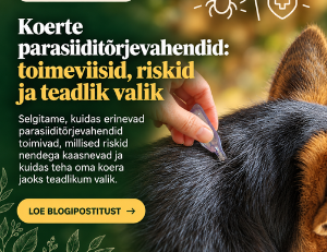 Koerte parasiiditõrje: vahendid, riskid ja teadlik valik