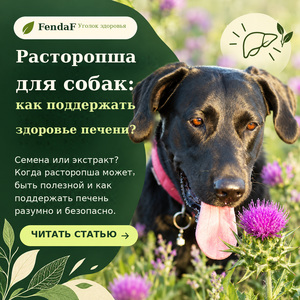 Собака и цветущая фиолетовая расторопша, русскоязычный баннер FendaF