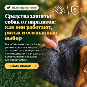 Средства от паразитов для собак: действие, риски и выбор