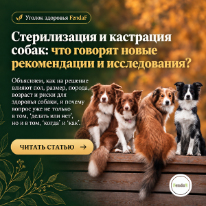 Стерилизация и кастрация собак: новые рекомендации