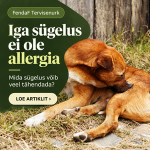 Iga sügelus ei ole allergia: koer lakub oma karva
