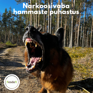 narkoosivaba hammaste puhastus