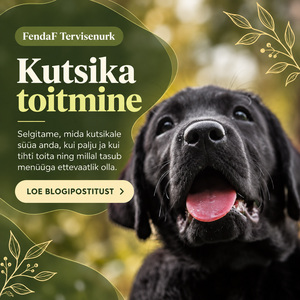 FendaF Tervisenurk: artikkel #68 (ET)