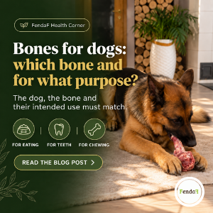 Bones for dogs: which bones are suitable?