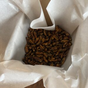 merekarbid treeningmaius 100g