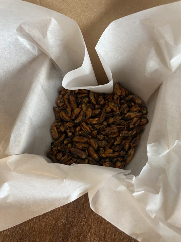 merekarbid treeningmaius 100g