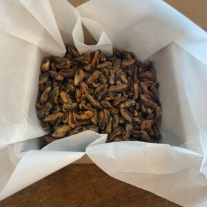 merekarbid treeningmaius 200g