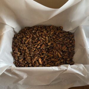 merekarbid treeningmaius 500g