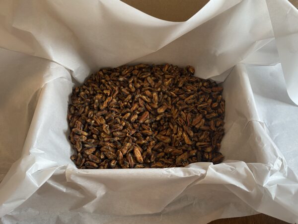 merekarbid treeningmaius 500g