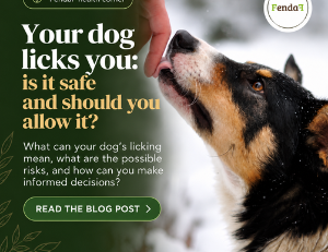 Dog Licks You: Is It Safe, and Should You Allow It?