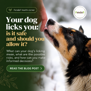 Dog Licks You: Is It Safe, and Should You Allow It?