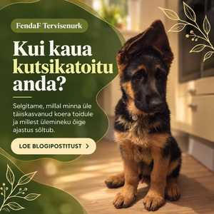 FendaF Tervisenurk: artikkel #67 (ET)
