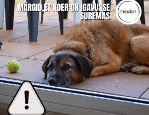 koer on igavusse suremas