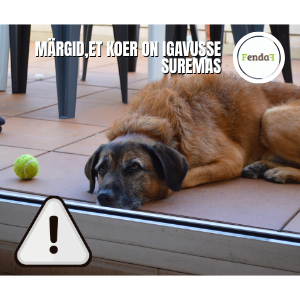 koer on igavusse suremas