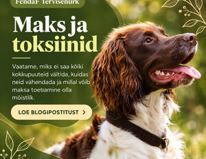 FendaF Tervisenurk: artikkel #65 (ET)