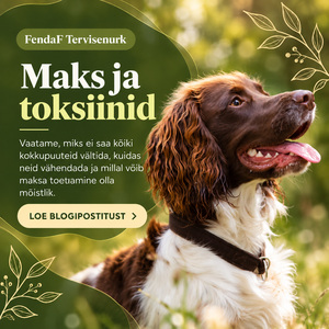 FendaF Tervisenurk: artikkel #65 (ET)