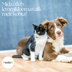 Lemmiklooma valik