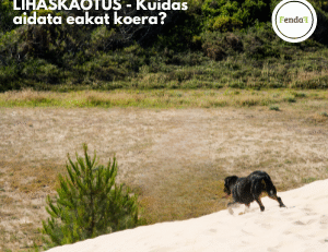 sarkopeenia ehk lihaskaotus