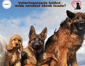 veterinaarsarja toidud