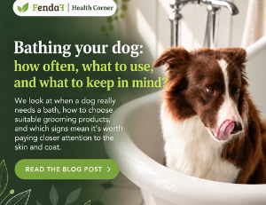 Dog bathing: how often, what to use and how to do it right?