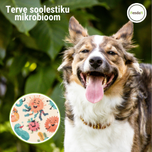 terve mikrobioom
