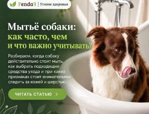 Мытьё собаки